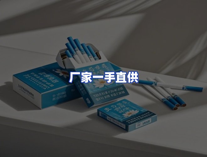 专业团队